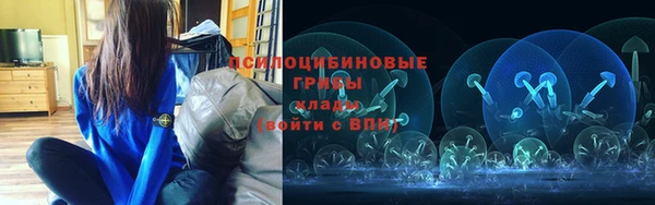 молекула духа Навашино