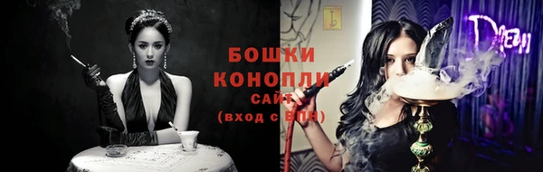 молекула духа Навашино