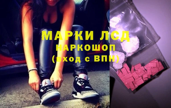 СК Зерноград