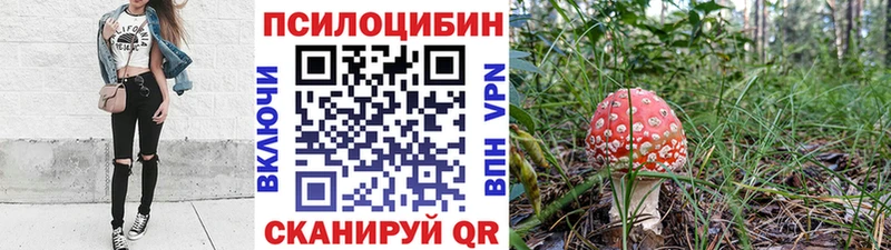 Галлюциногенные грибы Cubensis  купить наркотики сайты  Саранск 