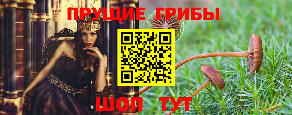 Галлюциногенные грибы MAGIC MUSHROOMS Саранск