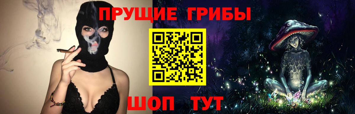 магазин продажи наркотиков  Галлюциногенные грибы MAGIC MUSHROOMS  Вход с VPN  Саранск 