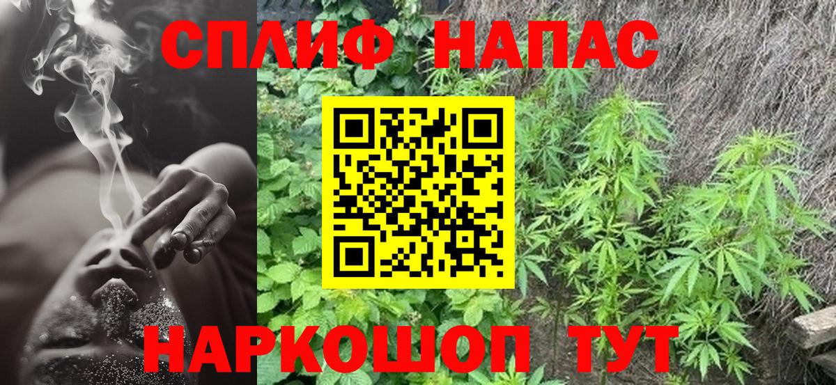 Саранск  Шишки марихуана конопля  Шишки марихуана White Widow  Вход с VPN 